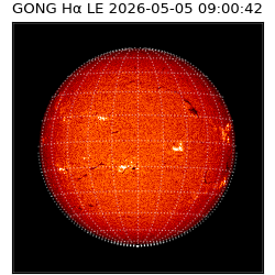 gong - 2026-05-05T09:00:42