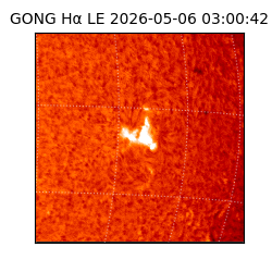 gong - 2026-05-06T03:00:42