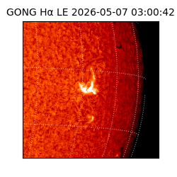 gong - 2026-05-07T03:00:42