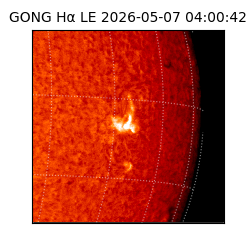 gong - 2026-05-07T04:00:42