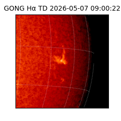 gong - 2026-05-07T09:00:22