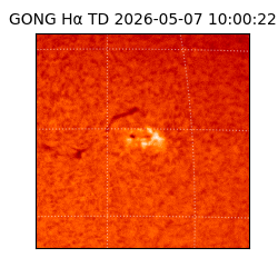 gong - 2026-05-07T10:00:22