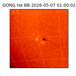 gong - 2026-05-07T01:00:02