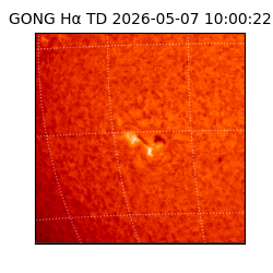 gong - 2026-05-07T10:00:22