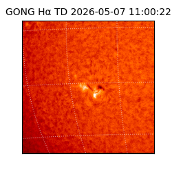 gong - 2026-05-07T11:00:22