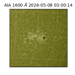 saia - 2026-05-08T03:00:14.123000