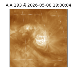 saia - 2026-05-08T19:00:04.842000