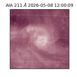 saia - 2026-05-08T12:00:09.623000