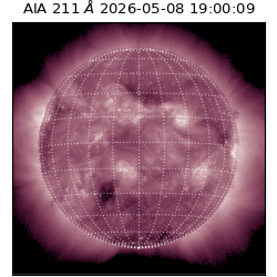saia - 2026-05-08T19:00:09.620000
