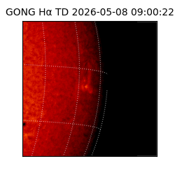 gong - 2026-05-08T09:00:22