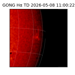 gong - 2026-05-08T11:00:22