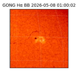gong - 2026-05-08T01:00:02