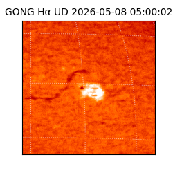 gong - 2026-05-08T05:00:02
