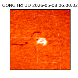 gong - 2026-05-08T06:00:02