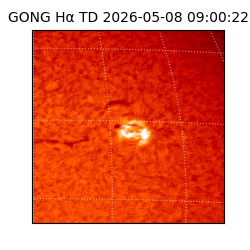 gong - 2026-05-08T09:00:22