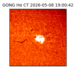 gong - 2026-05-08T19:00:42