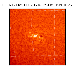 gong - 2026-05-08T09:00:22
