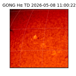 gong - 2026-05-08T11:00:22