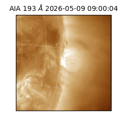 saia - 2026-05-09T09:00:04.842000