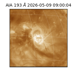 saia - 2026-05-09T09:00:04.842000
