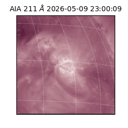 saia - 2026-05-09T23:00:09.623000