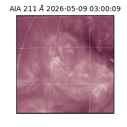 saia - 2026-05-09T03:00:09.624000