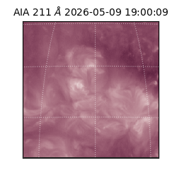 saia - 2026-05-09T19:00:09.624000