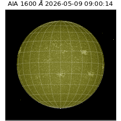saia - 2026-05-09T09:00:14.123000