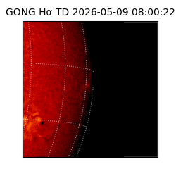 gong - 2026-05-09T08:00:22