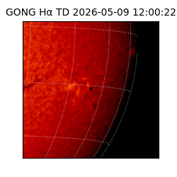 gong - 2026-05-09T12:00:22