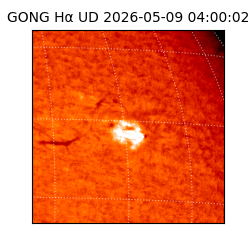 gong - 2026-05-09T04:00:02