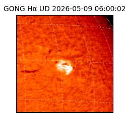 gong - 2026-05-09T06:00:02