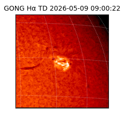 gong - 2026-05-09T09:00:22