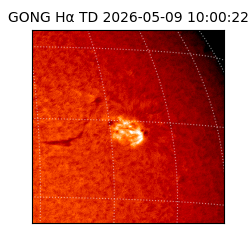 gong - 2026-05-09T10:00:22