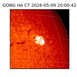 gong - 2026-05-09T20:00:42
