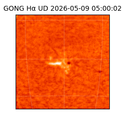 gong - 2026-05-09T05:00:02