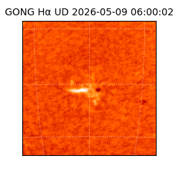 gong - 2026-05-09T06:00:02