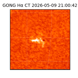 gong - 2026-05-09T21:00:42