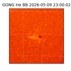 gong - 2026-05-09T23:00:02