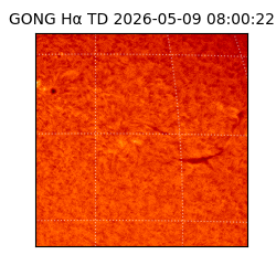 gong - 2026-05-09T08:00:22