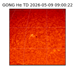 gong - 2026-05-09T09:00:22