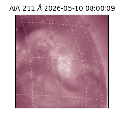 saia - 2026-05-10T08:00:09.630000