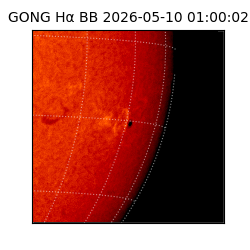 gong - 2026-05-10T01:00:02
