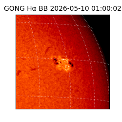 gong - 2026-05-10T01:00:02