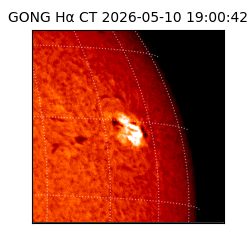 gong - 2026-05-10T19:00:42