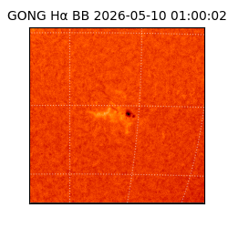 gong - 2026-05-10T01:00:02