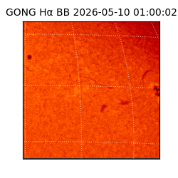 gong - 2026-05-10T01:00:02