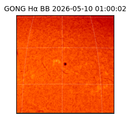 gong - 2026-05-10T01:00:02