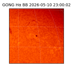 gong - 2026-05-10T23:00:02