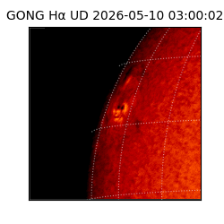 gong - 2026-05-10T03:00:02